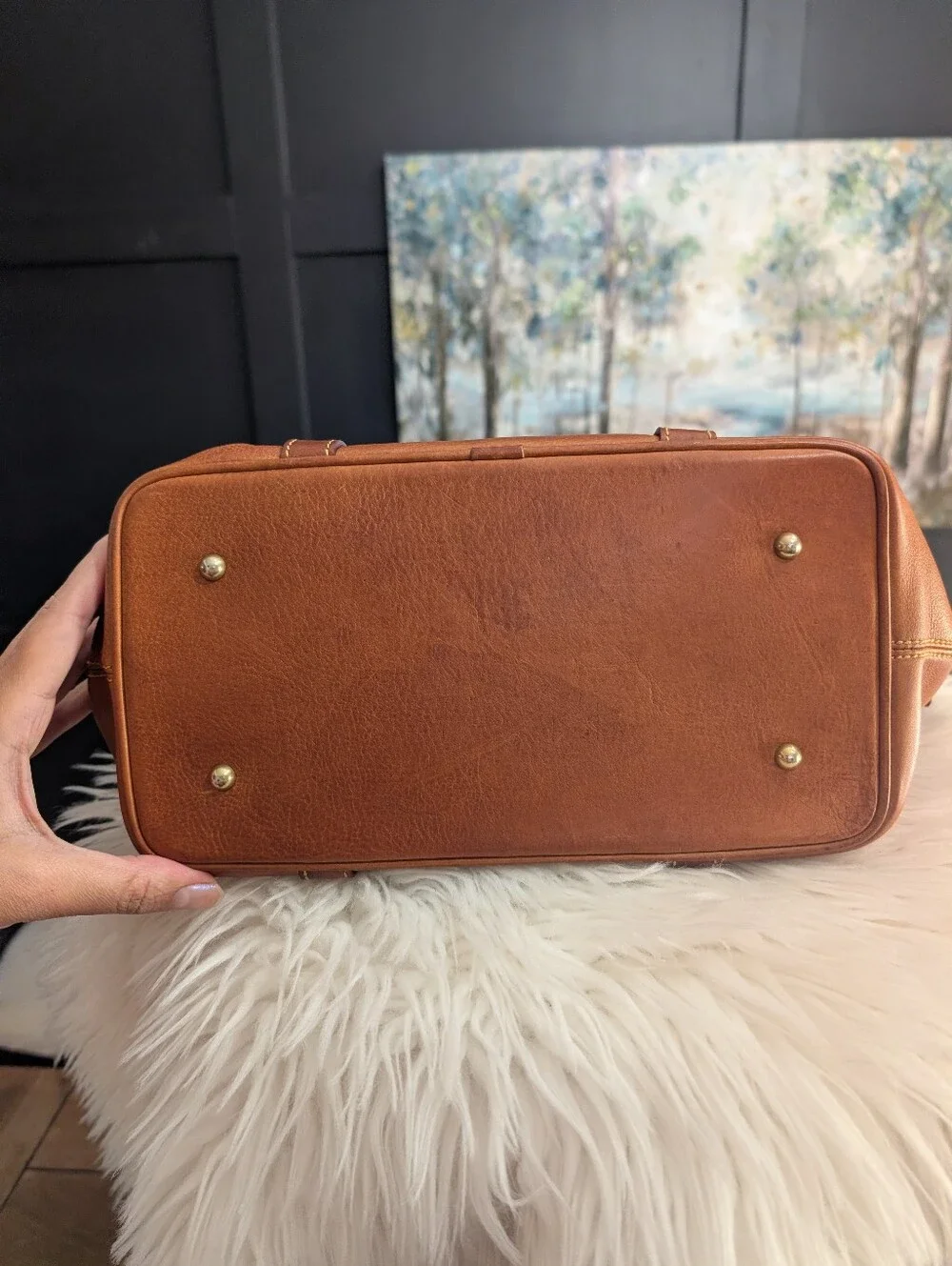 -Collectible style Dooney & Bourke Mitchell Satchel